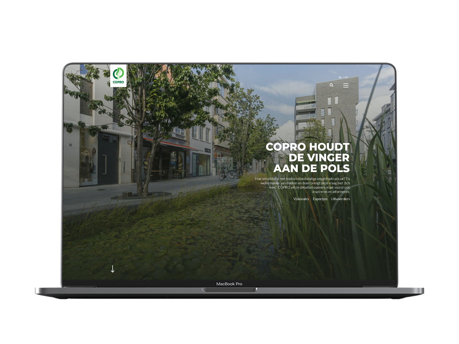 145866-mainimages-online.png