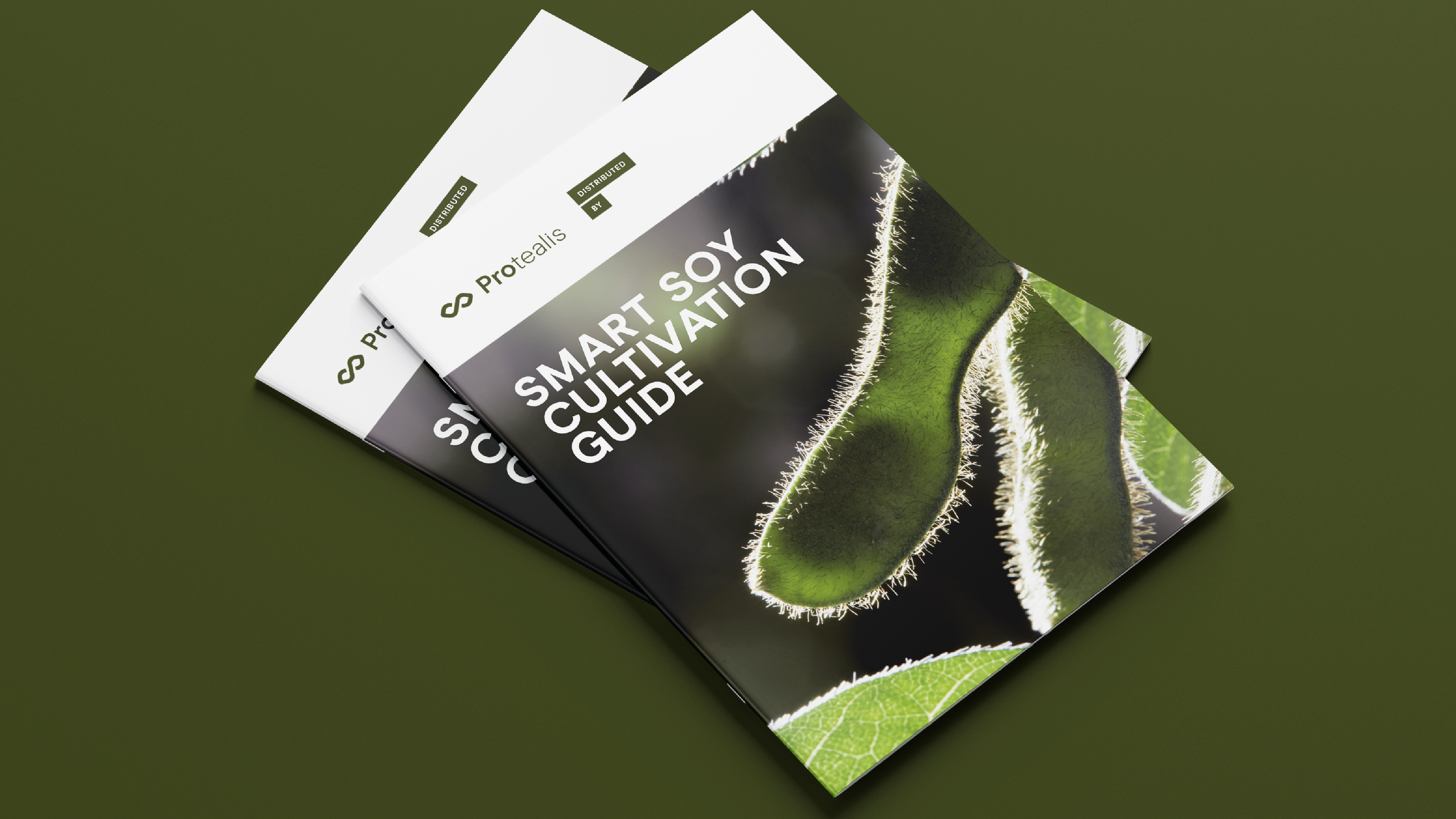 BROCHURE_2