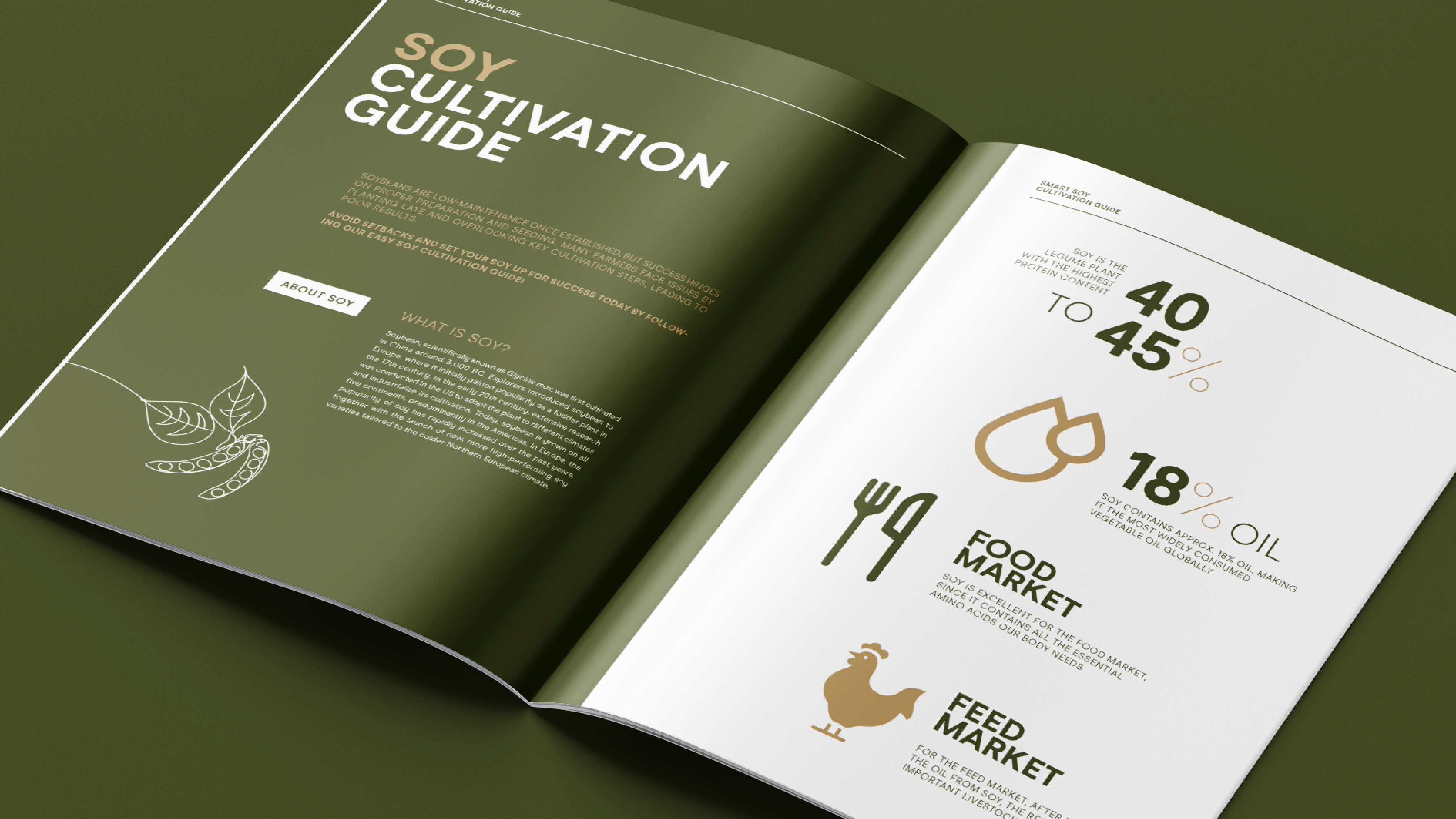 BROCHURE_3