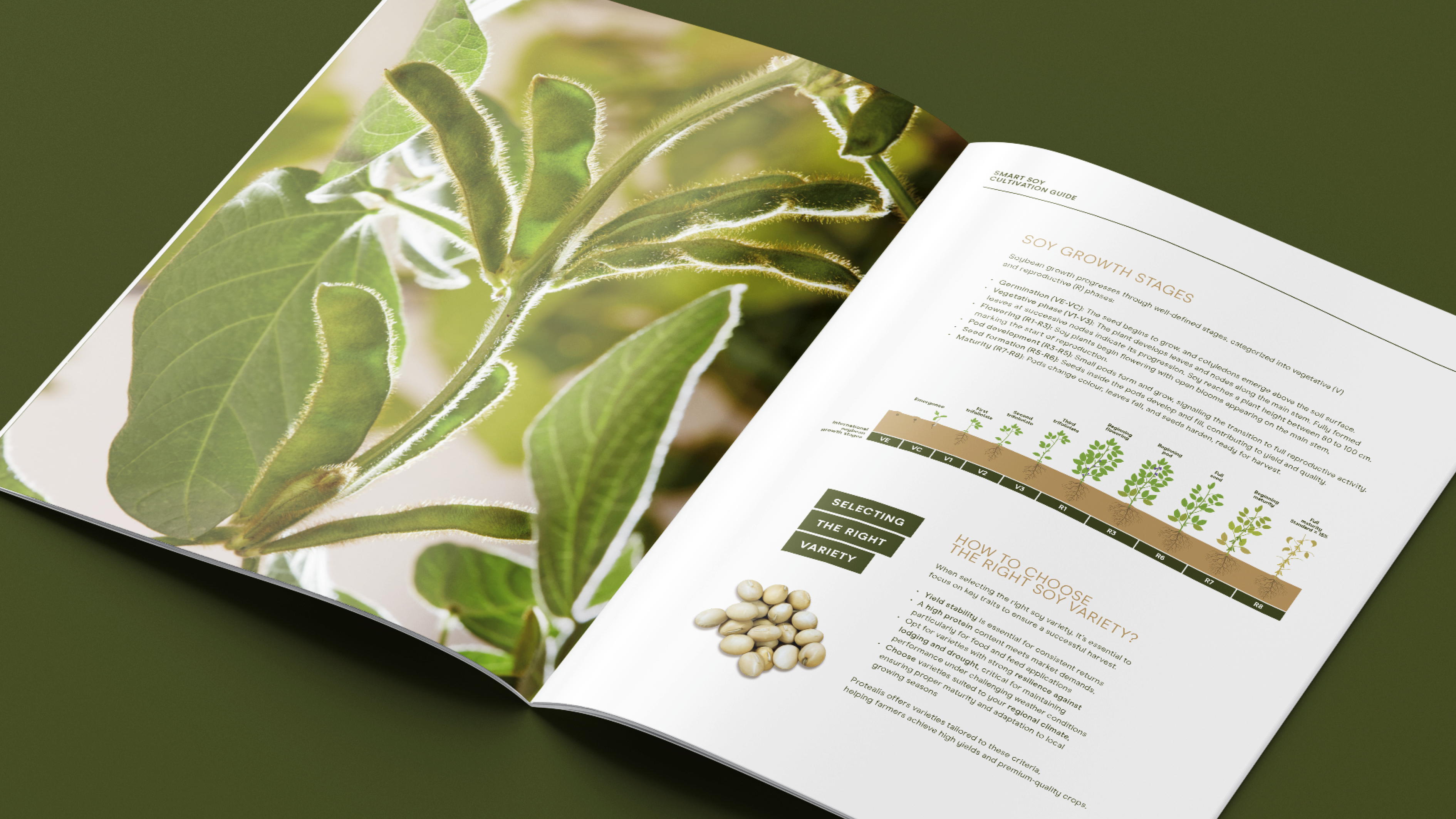 BROCHURE_4