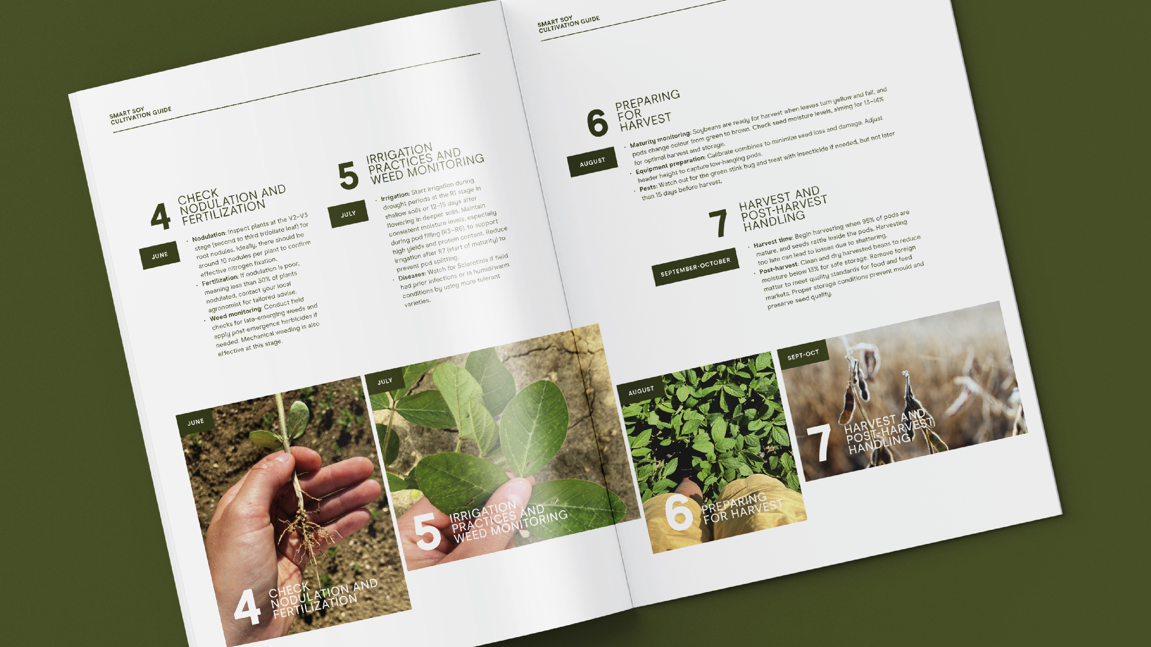 BROCHURE_6