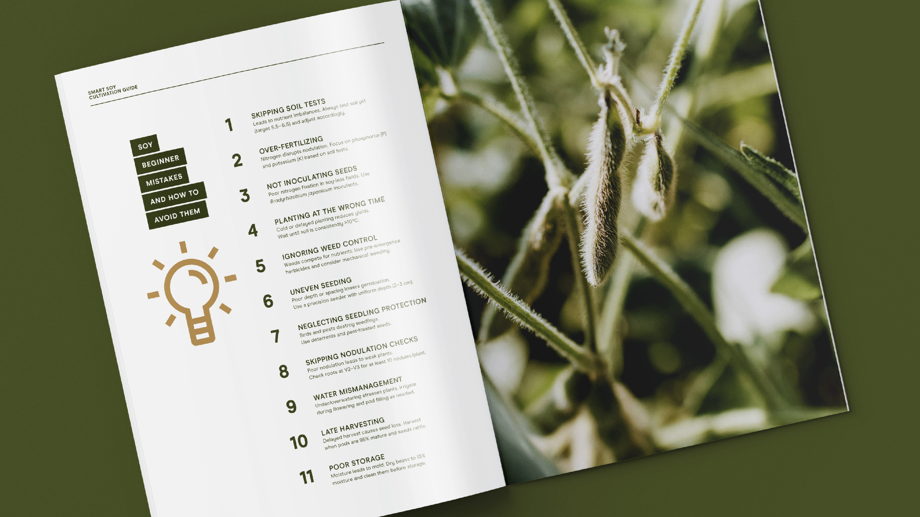 BROCHURE_7