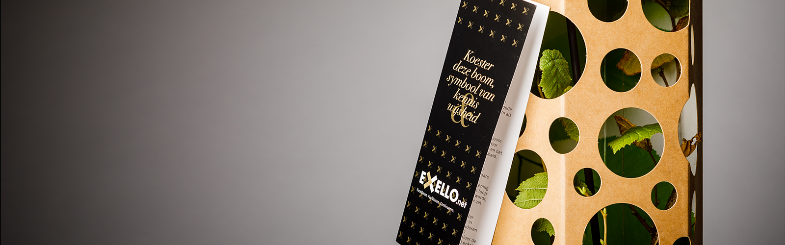 Exello HeaderImage